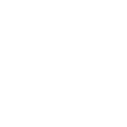 Fusion Icon | White | Secure Cloud Access | Secure Monitoring | 27/4 Access